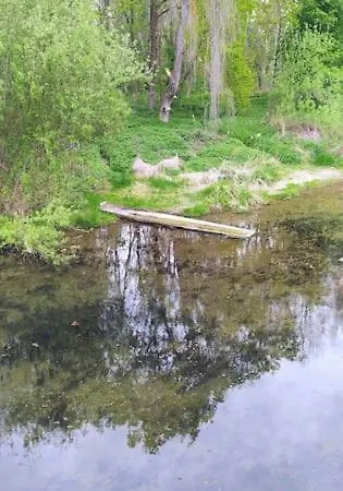 Schwoerer Bis 7 Personen