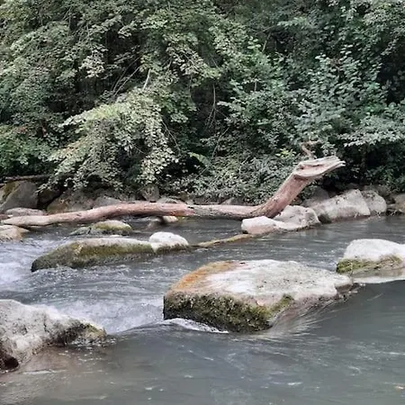 Schwoerer Bis 7 Personen *